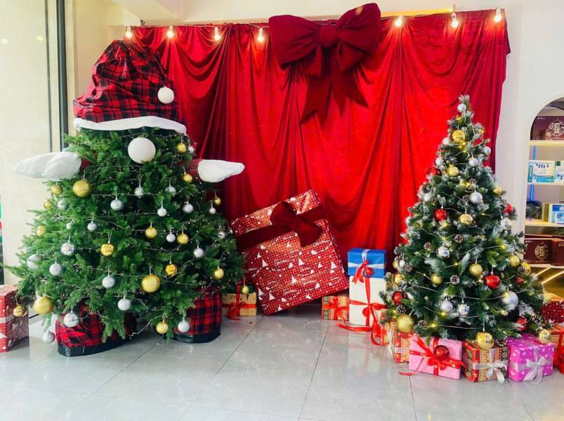 Báo Giá Trang Trí Cây Thông Noel Tại Quận Tân Phú. Ảnh 2